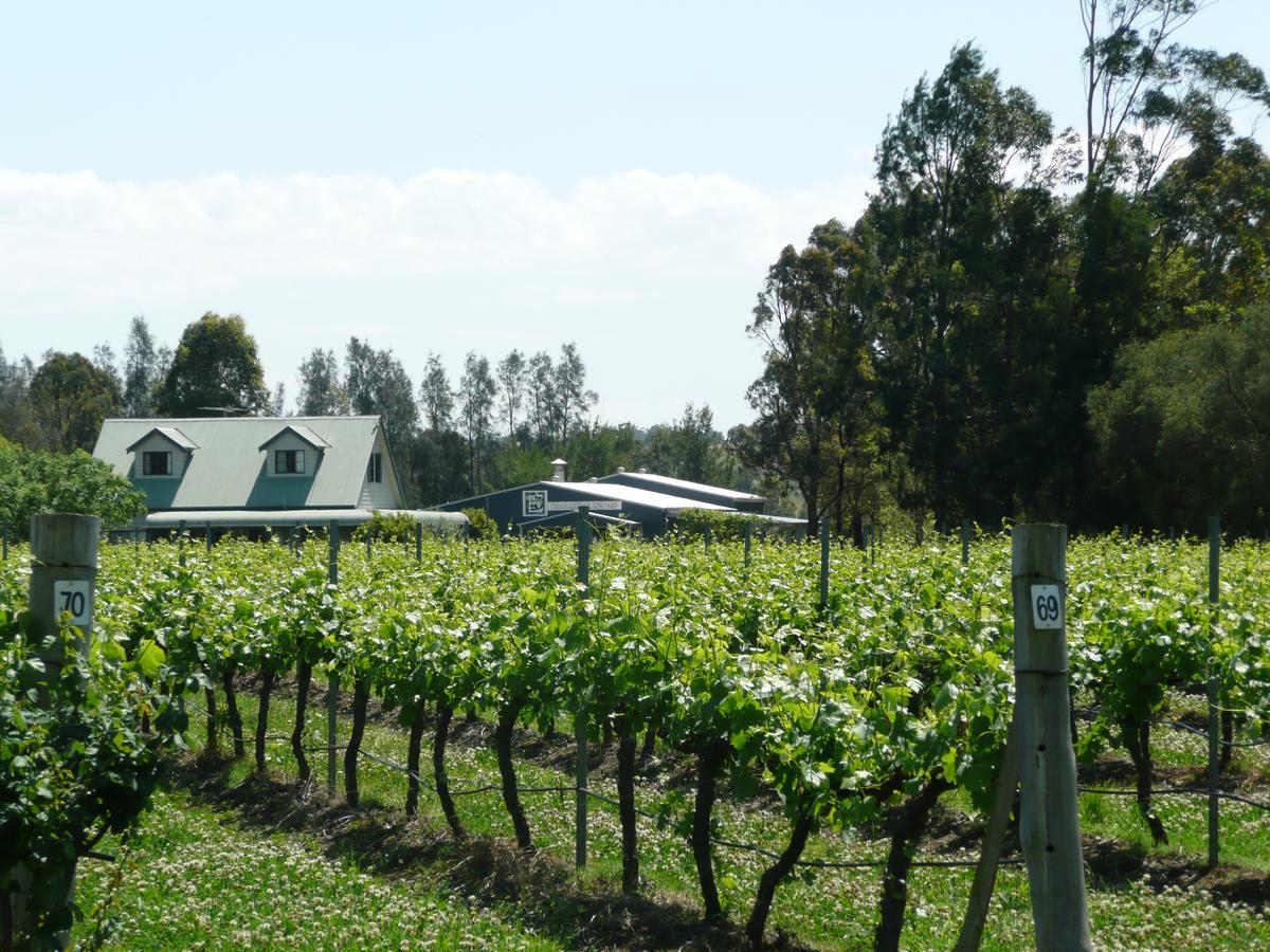 Emma'S Cottage Vineyard Lovedale Exterior photo
