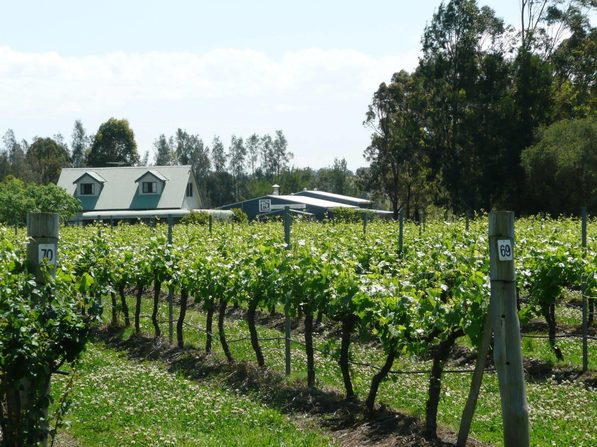 Emma'S Cottage Vineyard Lovedale Exterior photo