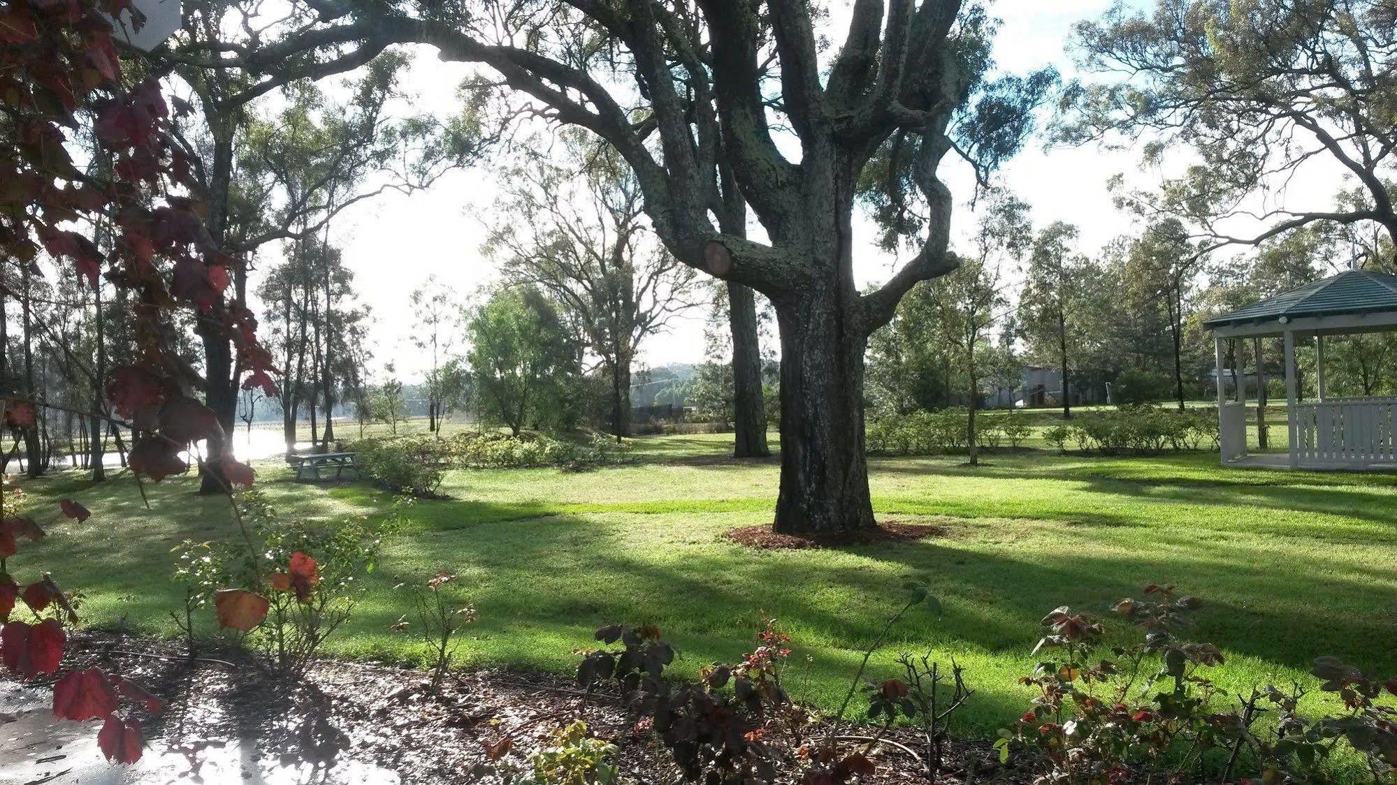 Emma'S Cottage Vineyard Lovedale Exterior photo