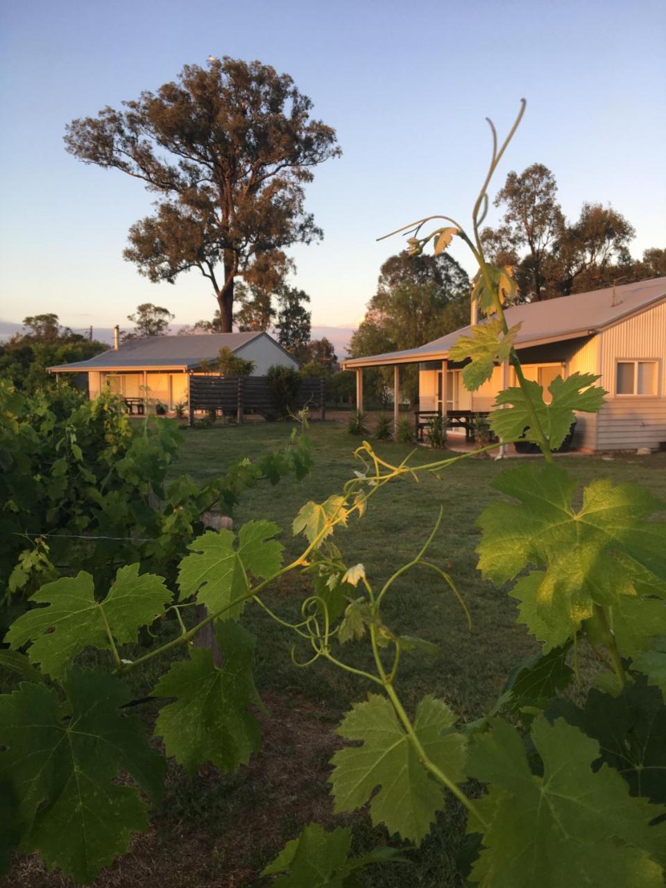 Emma'S Cottage Vineyard Lovedale Exterior photo